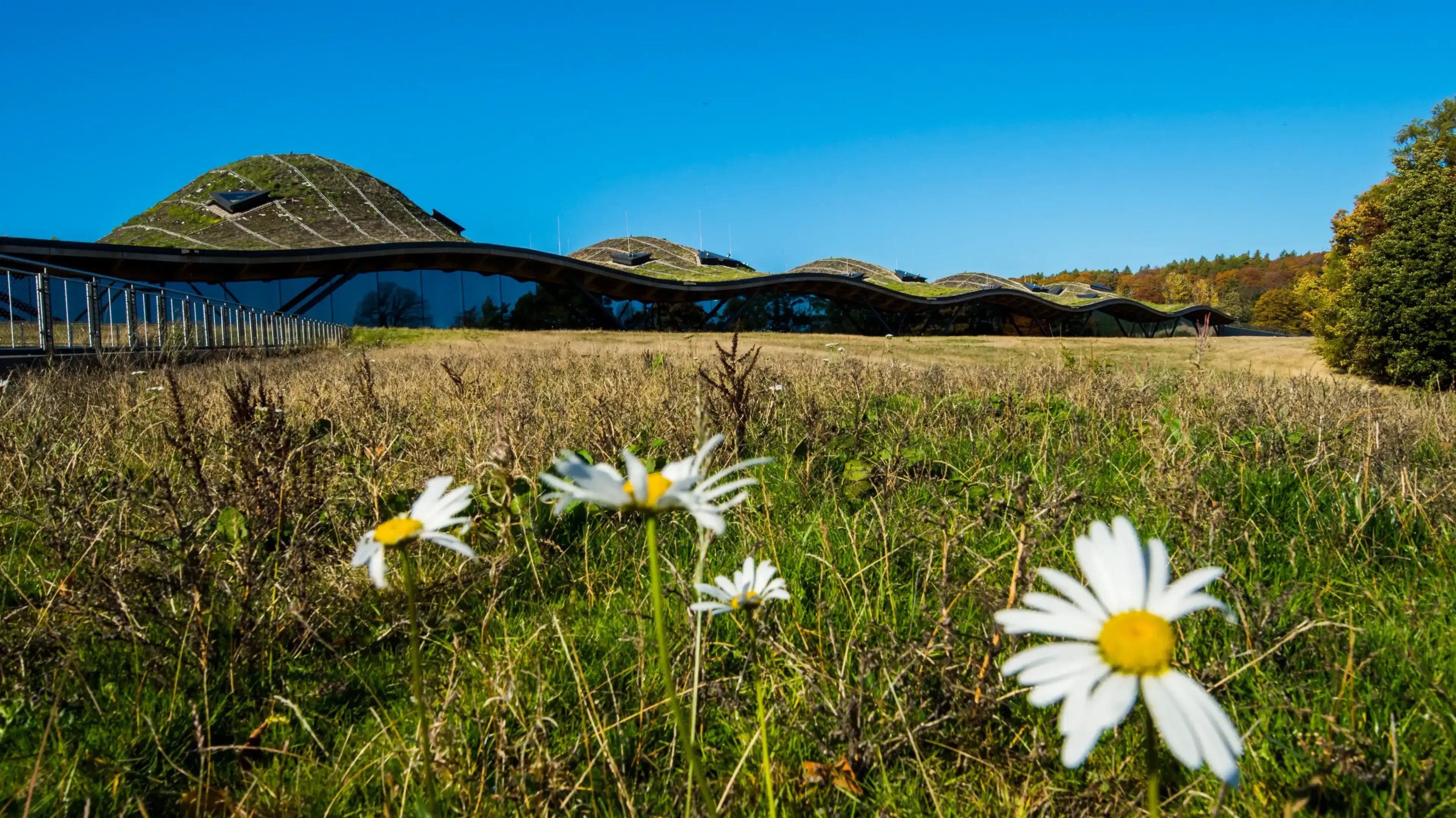 The Macallan Distillery stands as an Architectural Landmark in Scotland