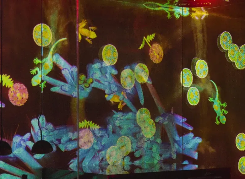 Art & Dine: teamLab Phenomena & Ting Irie Abu Dhabi