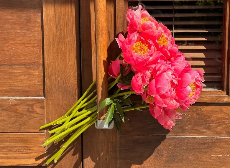 Why Peonies are a creative favourite