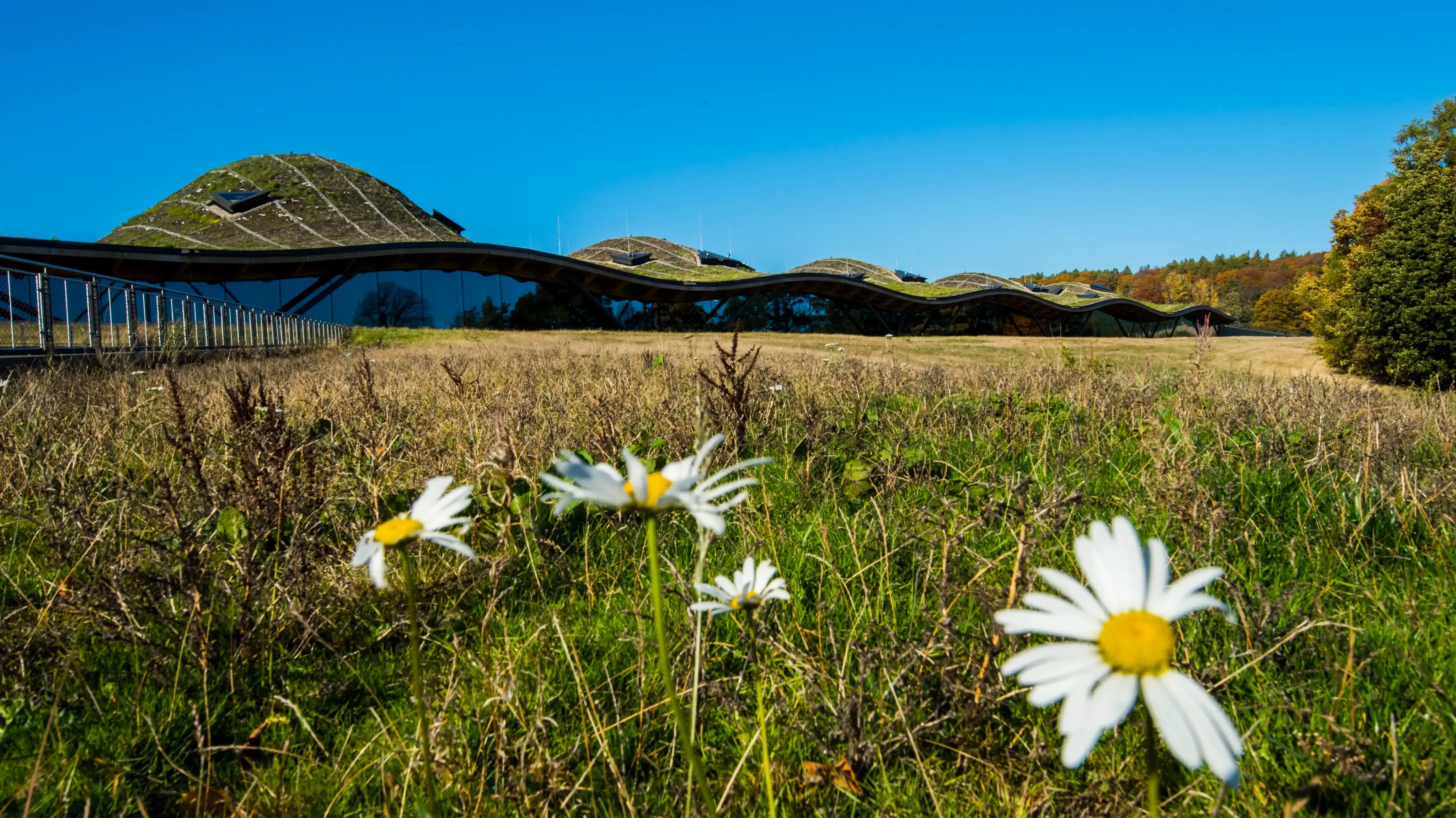 The Macallan Distillery stands as an Architectural Landmark in Scotland