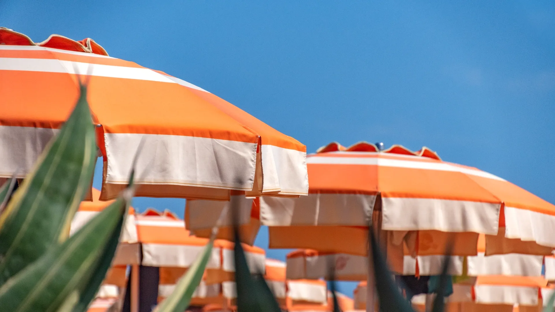 Dubai’s Most Beautiful Beach Clubs