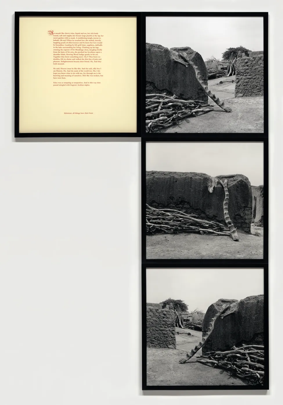 Carrie Mae Weems. Stairways to Heaven (1993) - Installation View.webp