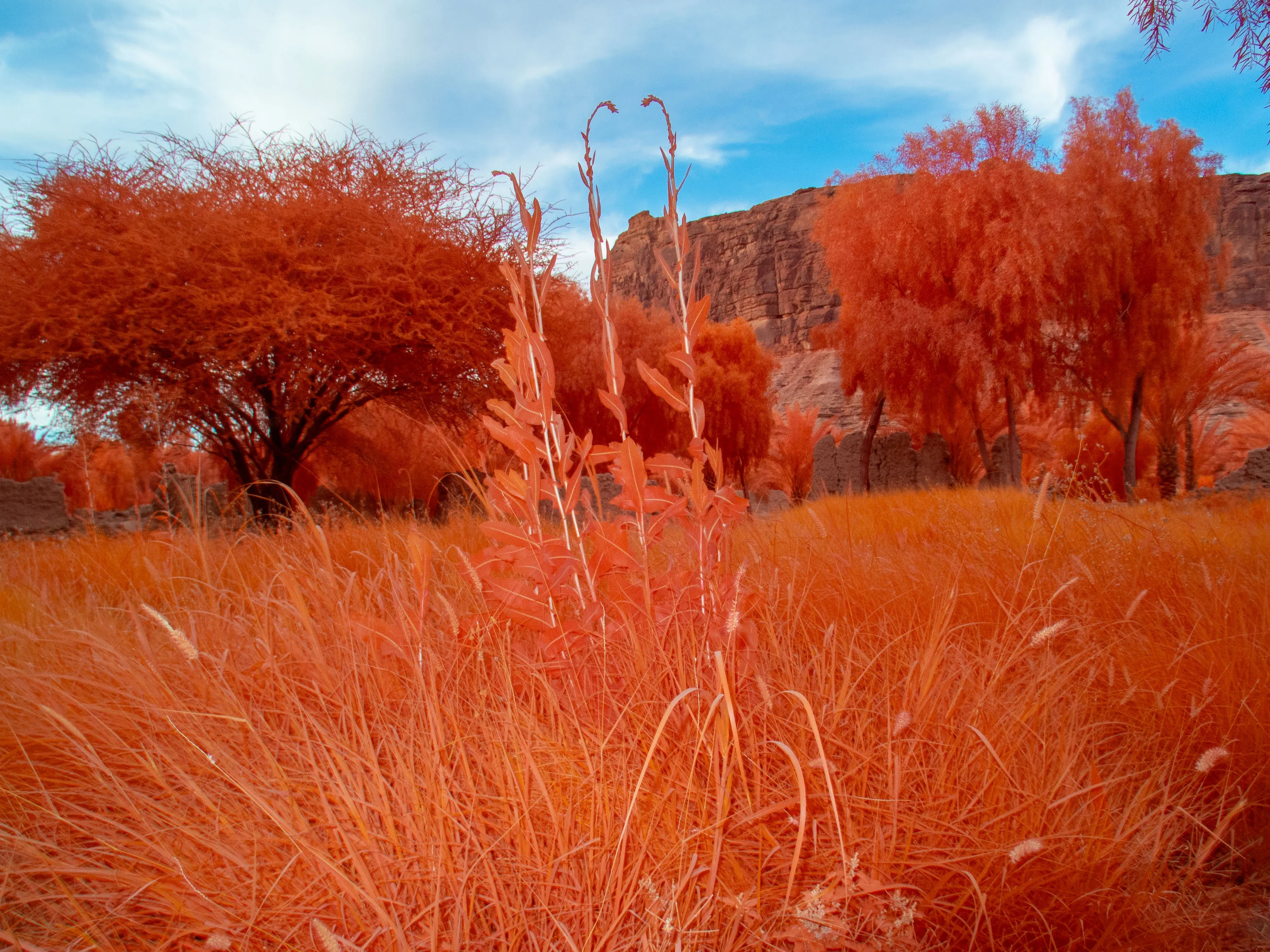 The Holy Wadi, Ayman Zedani, Arduna, 2025 (1).webp